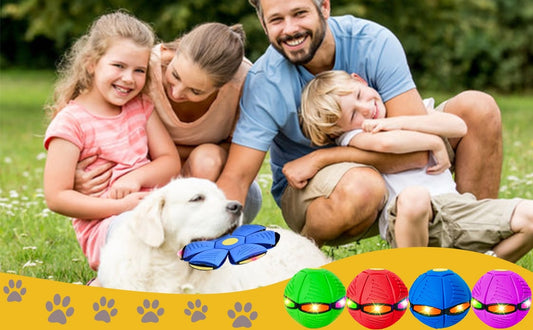 Pawsome Saucer™ Interactive Flying Saucer Ball Dog Toy, with 6 Lights