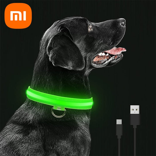 RadiantPaws Rechargeable LED Dog Collar